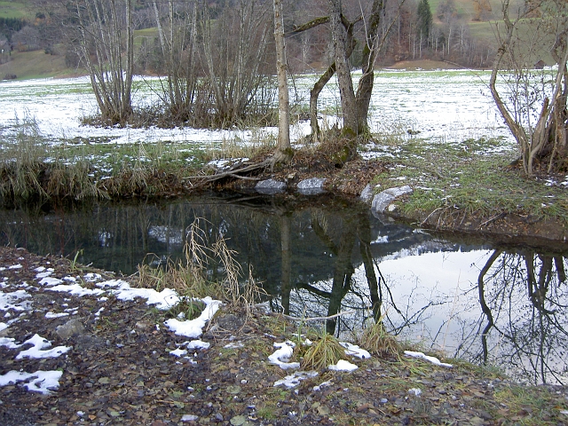 bild (14)